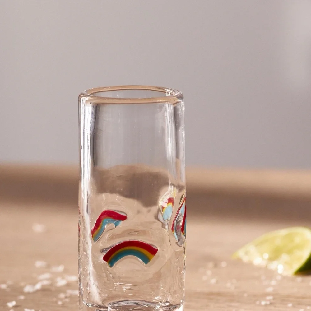 NWT Anthropologie Icon Glass Rainbow Shot Glass